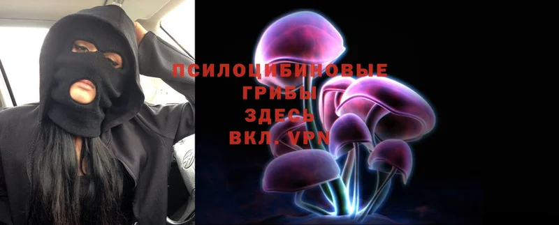 Галлюциногенные грибы Psilocybine cubensis  как найти закладки  Кизилюрт 